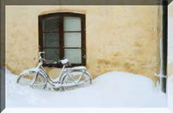 Bike Fine Art Brokers Freemanart