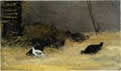 Chicken Coup.&nbsp;Attributed to Paul Gauguin