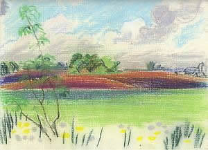 Florida Morning