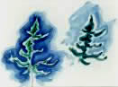 Conyers tree studies