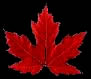CANADIAN ART AUTHENTICATION EXPERTS
