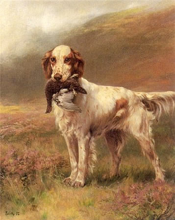 Thomas Blinks&nbsp;Setter&nbsp;